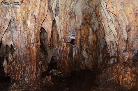 sibud sibud cave|Lone Prowler: SIBUD.